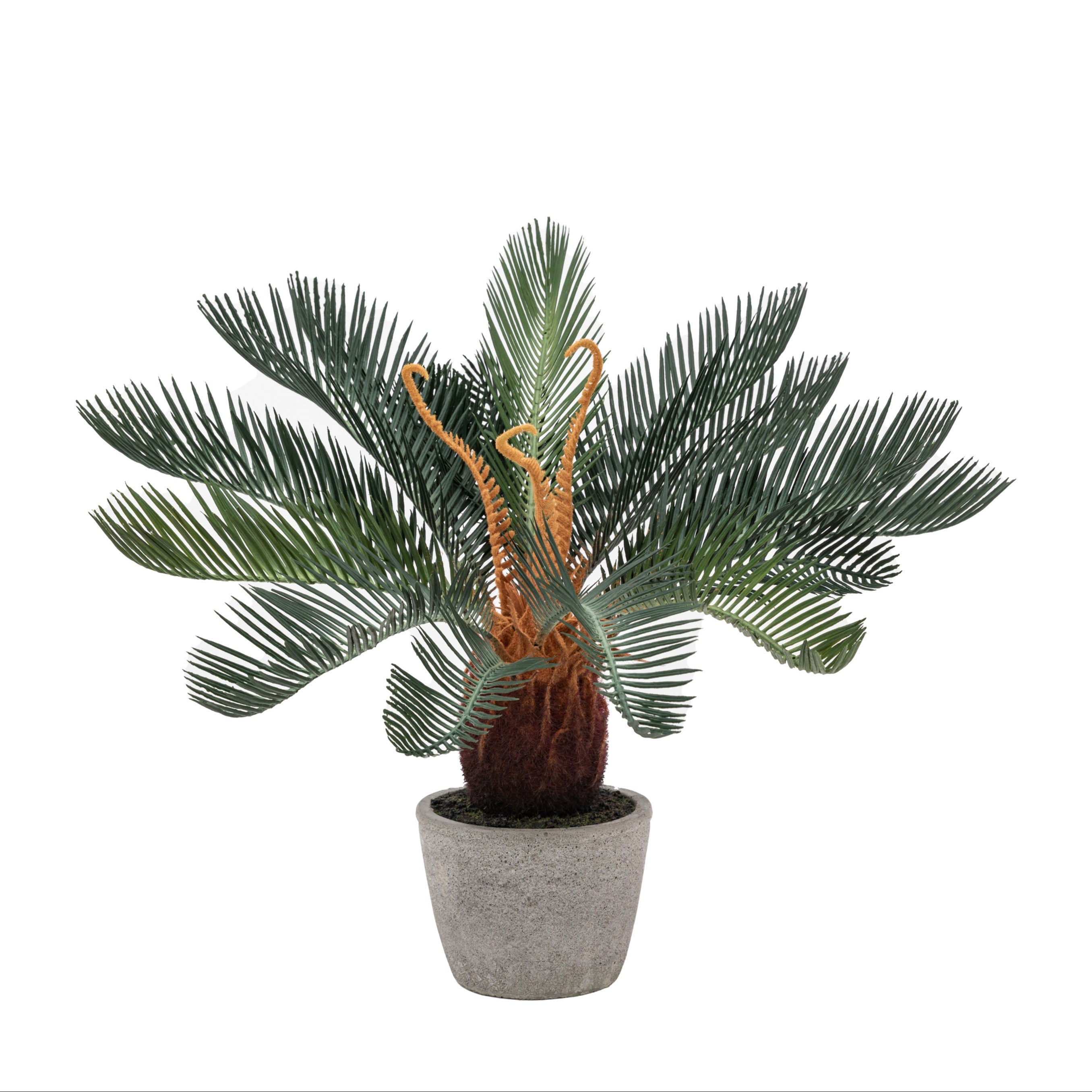 Artificial Wide Palm in Concrete Pot